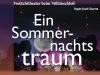 2011sommernacht00